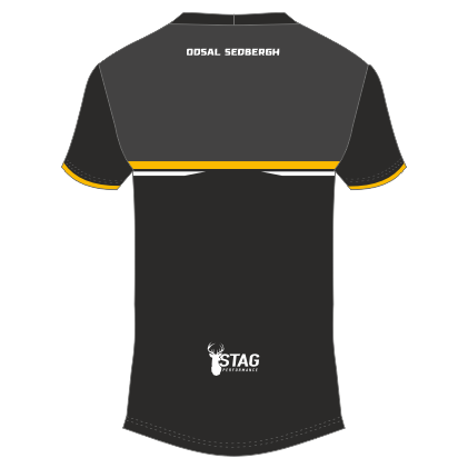 Odsal Sedbergh T-shirt - Juniors Alternate - Image 2