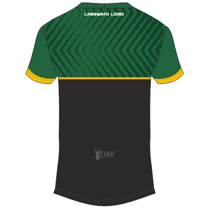 Lambwath Lions T-shirt - Juniors - Image 2